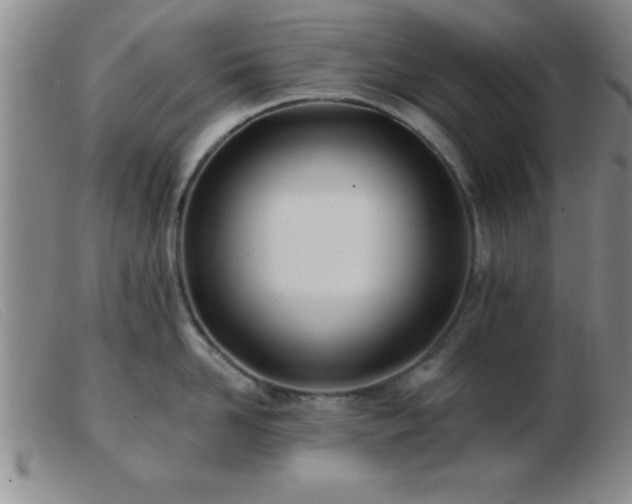 X0000103490958200809191919