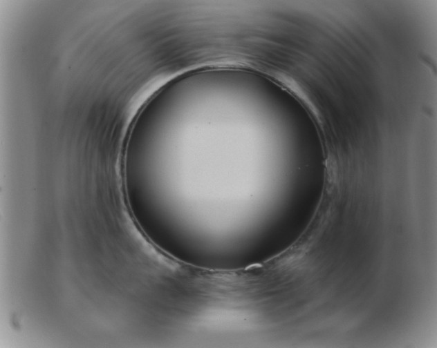 X0000103490959200809191919