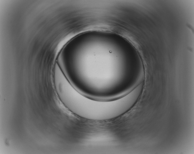 X0000103490960200809191919