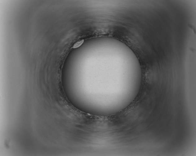 X0000103490961200809191918