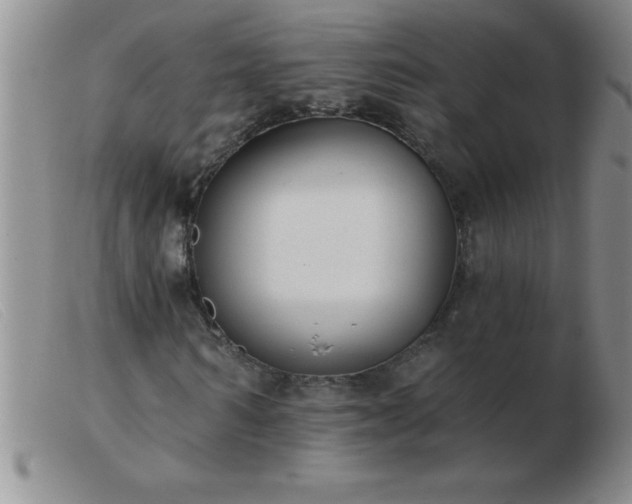 X0000103490962200809191918