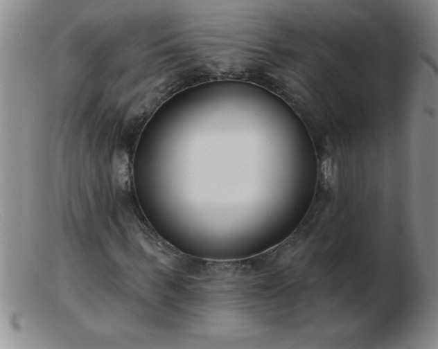 X0000103490963200809191918