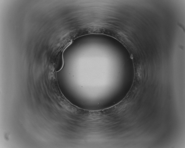 X0000103490964200809191918