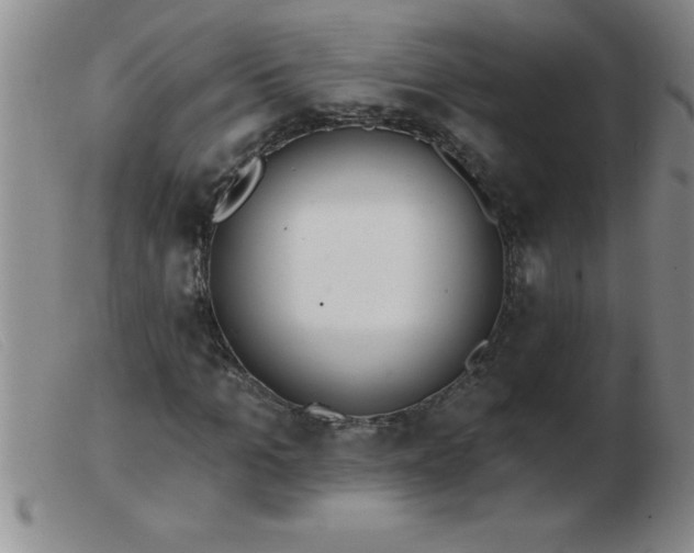 X0000103490965200809191918