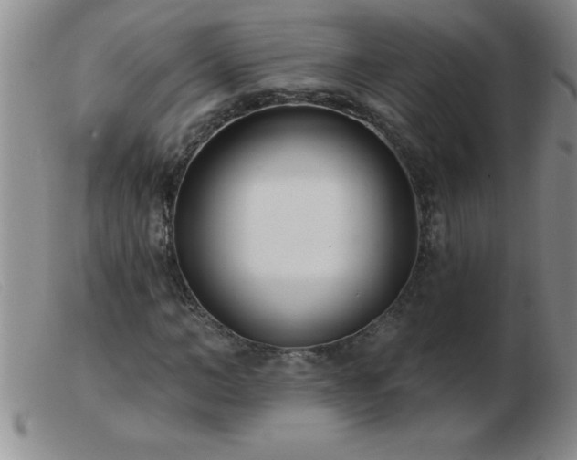 X0000103490966200809191918