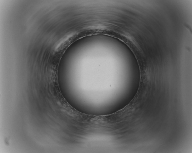 X0000103490967200809191918