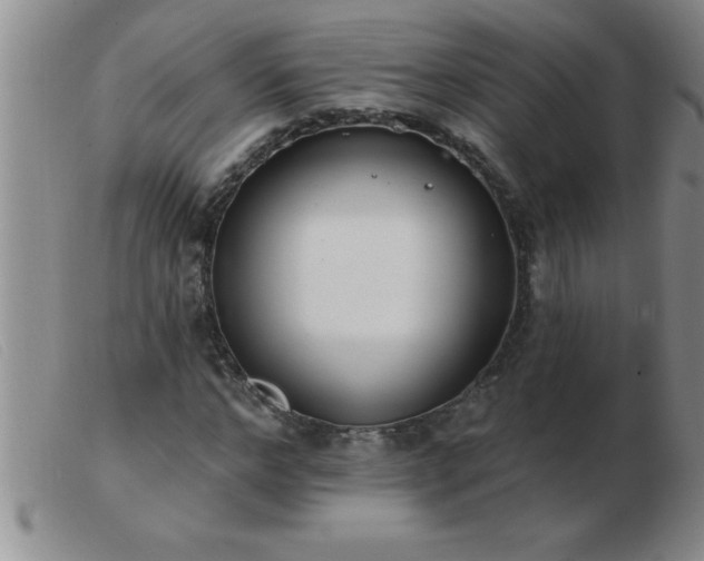 X0000103490968200809191918