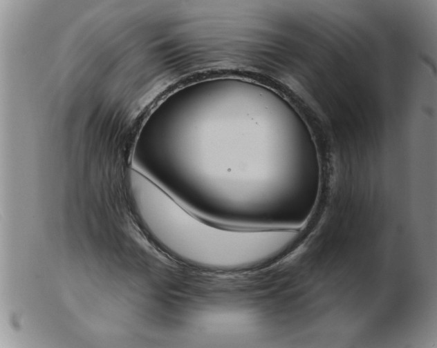 X0000103490969200809191918