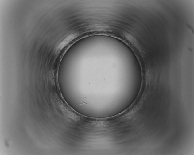 X0000103490970200809191918