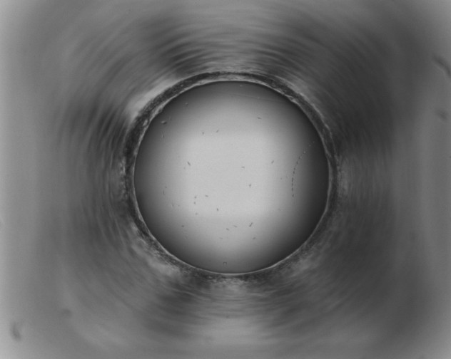 X0000103490971200809191918