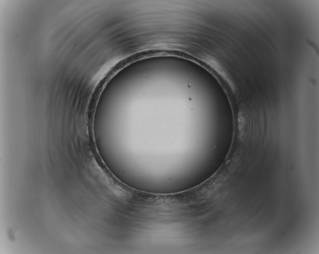 X0000103490972200809191918