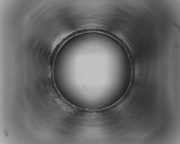 X0000103490973200809191918