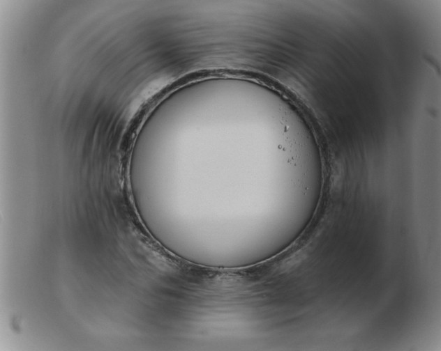 X0000103490974200809191918