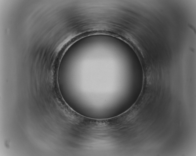 X0000103490975200809191918