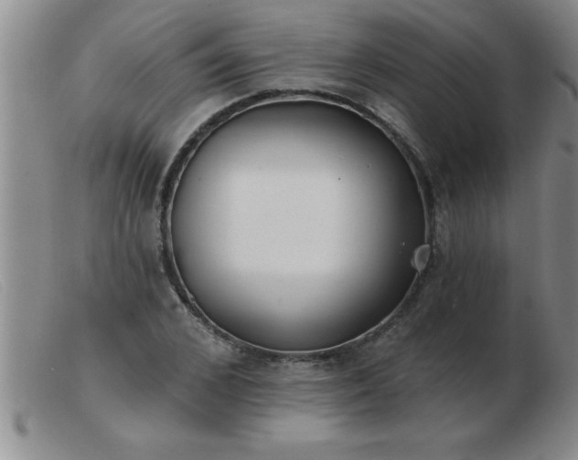 X0000103490976200809191918