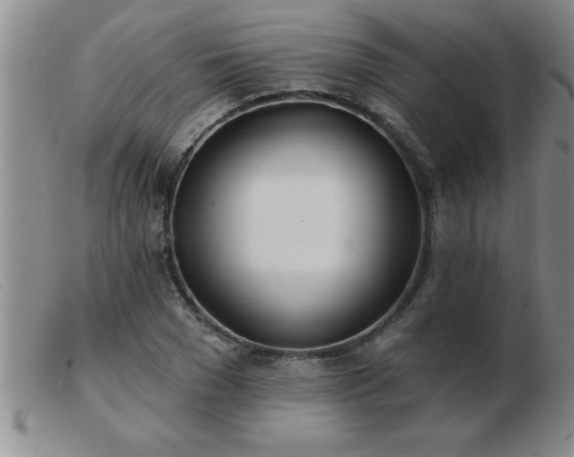 X0000103490977200809191918