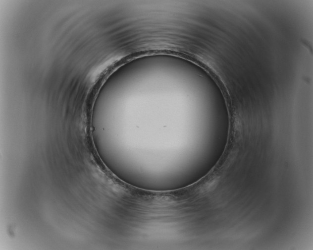 X0000103490979200809191918