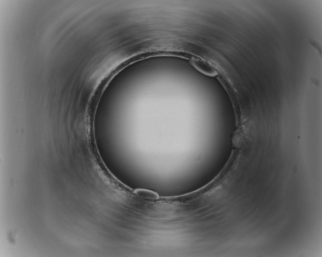 X0000103490981200809191918