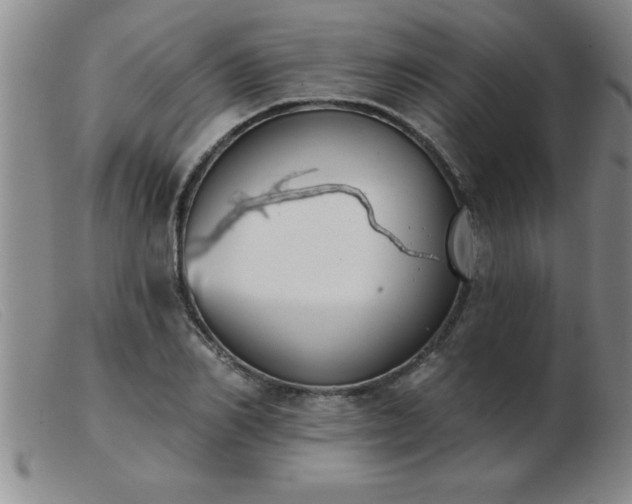 X0000103490982200809191918