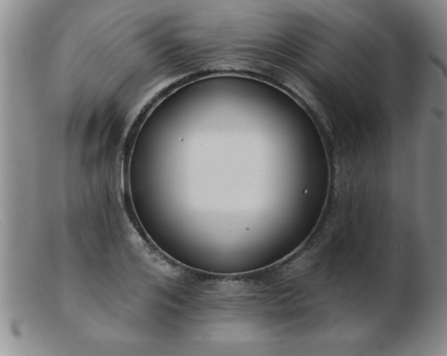 X0000103490984200809191918