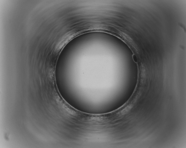 X0000103490985200809191918