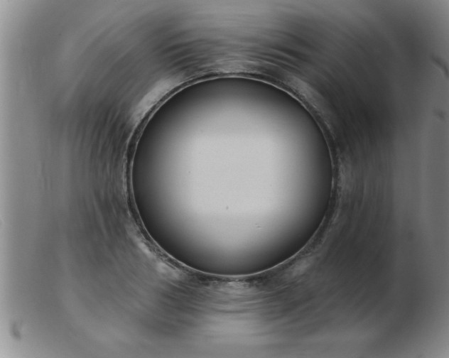 X0000103490986200809191918