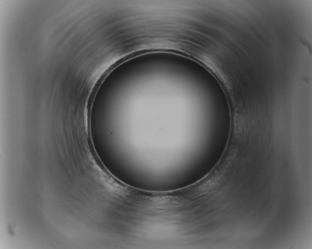 X0000103490988200809191918