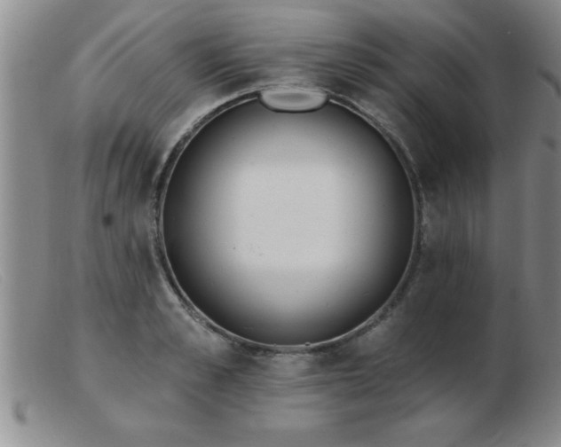 X0000103490989200809191918