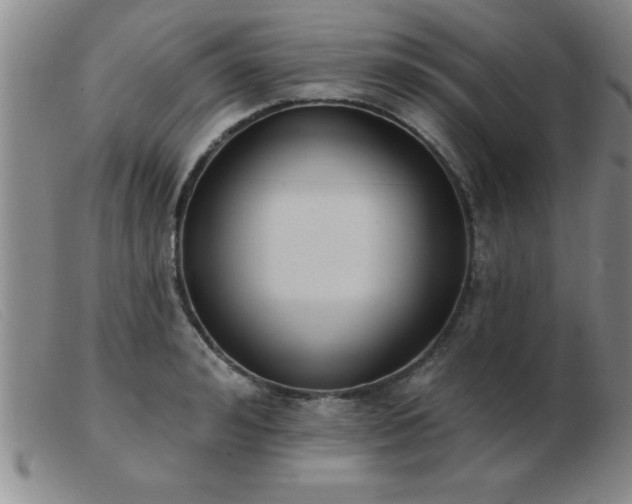 X0000103490992200809191918