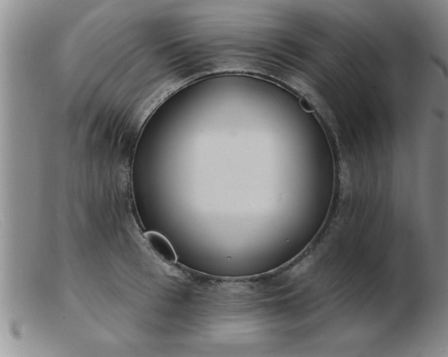 X0000103490993200809191918