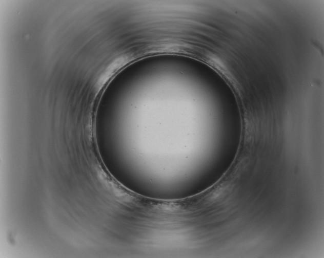 X0000103490994200809191918