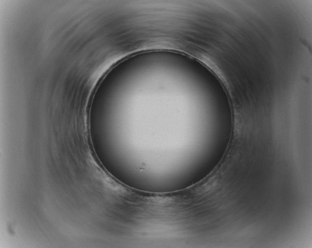 X0000103490996200809191918