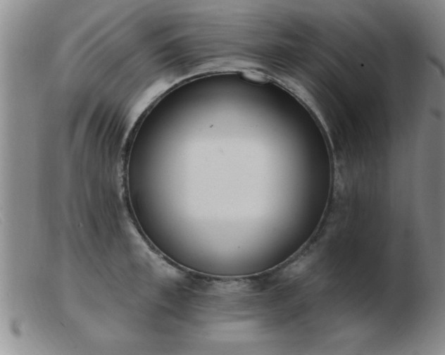 X0000103490997200809191918