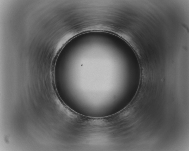 X0000103490998200809191918