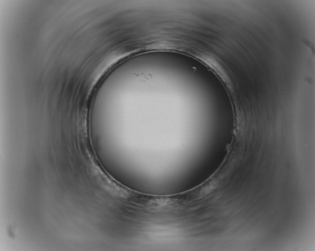 X0000103491000200809191918