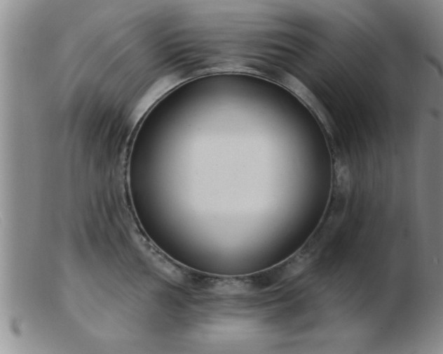 X0000103491002200809191918