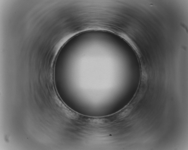 X0000103491004200809191918