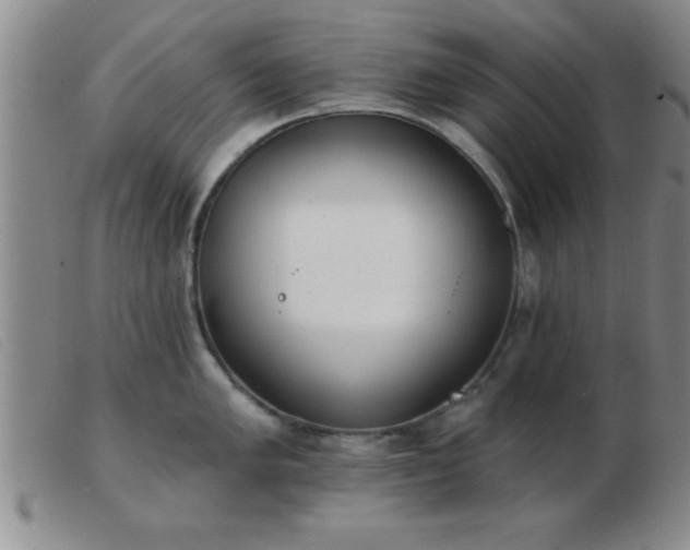 X0000103491005200809191918