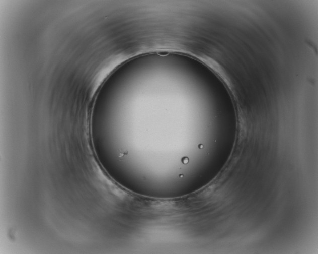 X0000103491006200809191918