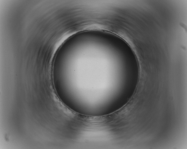 X0000103491008200809191918