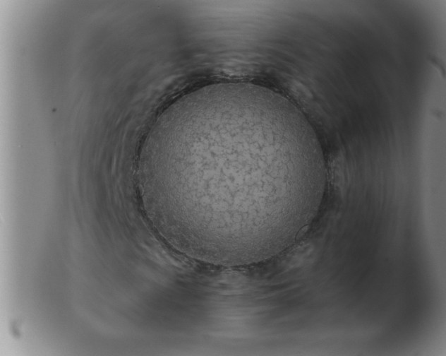 X0000103491009200809191917