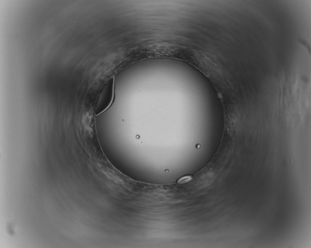 X0000103491010200809191917