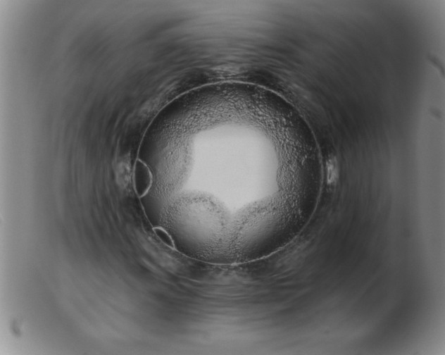 X0000103491011200809191917