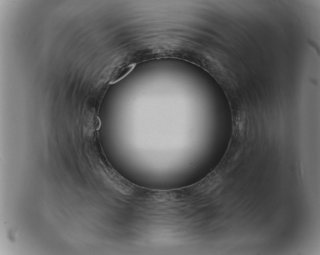 X0000103491012200809191917