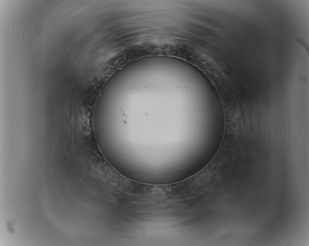 X0000103491013200809191917