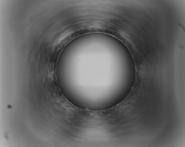 X0000103491015200809191917