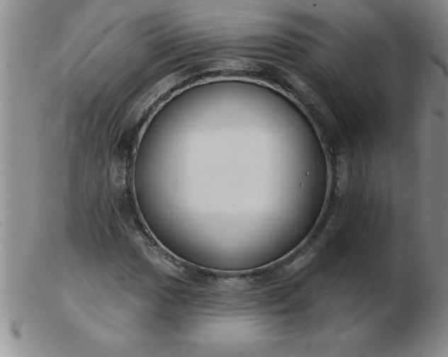 X0000103491017200809191917