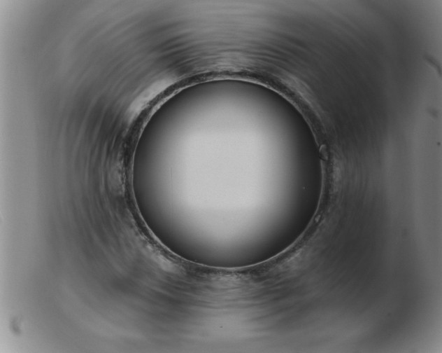 X0000103491018200809191917