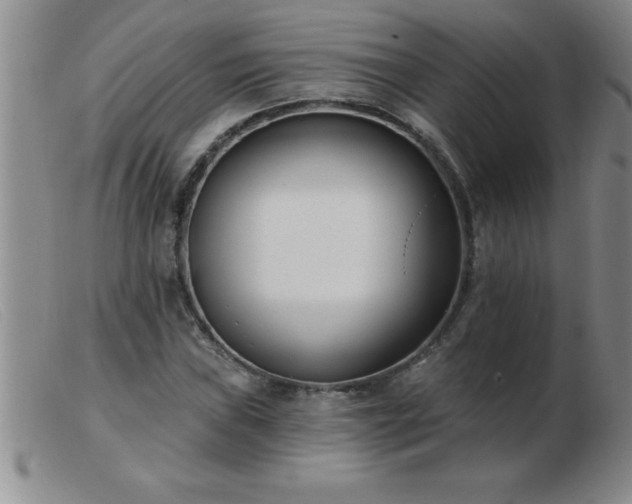 X0000103491019200809191917