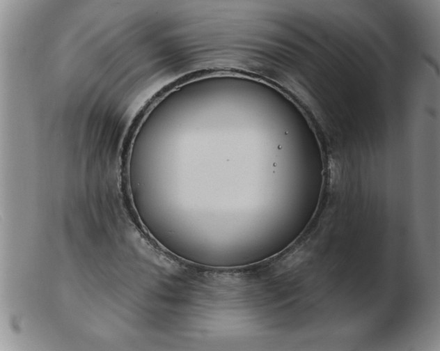 X0000103491020200809191917